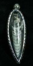 Black Fossil Orthoceras Pendant #4716