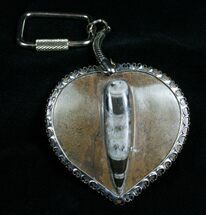 Large Fossil Orthoceras Keychain #4717