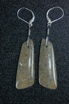 Green Agatized Dinosaur Bone Earrings #4906