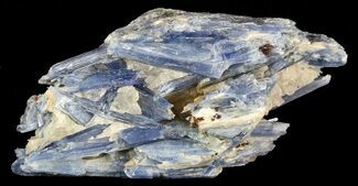 Vibrant Blue Kyanite Crystals In Quartz - Brazil #56932