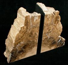 Small Cherry Petrified Wood Bookends #5047