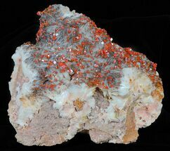 Red Vanadinite Crystals on Bladed Barite - Morocco #61174