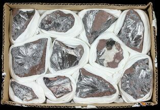 Metallic Pyrolusite on Matrix Wholesale Lot - Pieces #61610