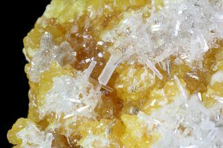Sulfur and Celestine (Celestite) Crystal Association - Italy #62905