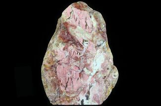 Polished Brecciated Pink Opal - Australia (Special Price) #64782