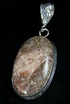 Fossil Coral Pendant #5333
