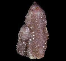 Dark Cactus Quartz (Amethyst) Crystal - South Africa #64243