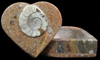 Small Fossil Goniatite Jar - Stoneware #66609