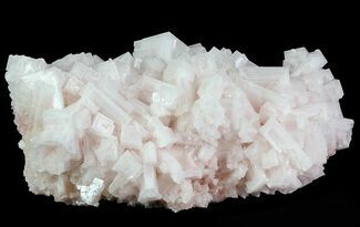 Large, Pink Halite Crystal Plate - Trona, California #67692