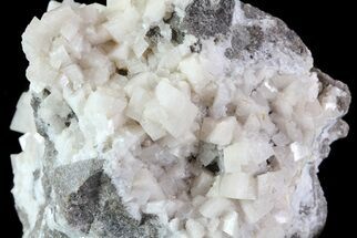Dolomite Crystal Cluster - Penfield, NY #68866