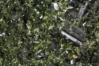 Epidote Crystal Cluster on Actinolite - Pakistan #68744