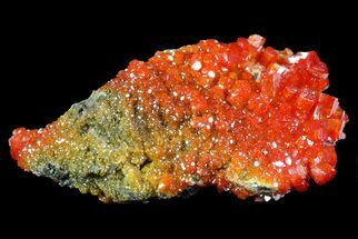 Vibrant Red Vanadinite Crystals with Calcite - Arizona #69213