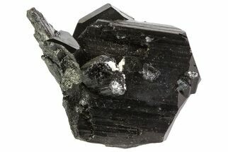 Black Tourmaline (Schorl) Crystal - Namibia #69177