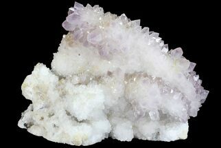 Amethyst Crystal Cluster - Diamond Hill, SC #69783