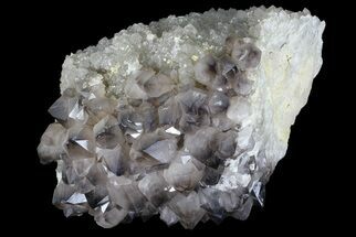 Smoky Quartz Crystal Cluster - Diamond Hill, SC #69784