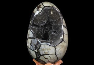 Septarian Dragon Egg Geode #70965