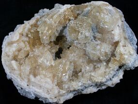 Crystal Filled Fossil Clam - Rucks Pit #5783