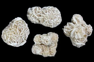 1 1/2 - 2" Desert Rose (Selenite) Formations - Crystal #75699