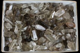 Lot: Lbs Smoky Quartz Crystals (-) - #77840