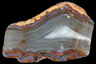 Beautiful Condor Agate From Argentina - Slab #79535