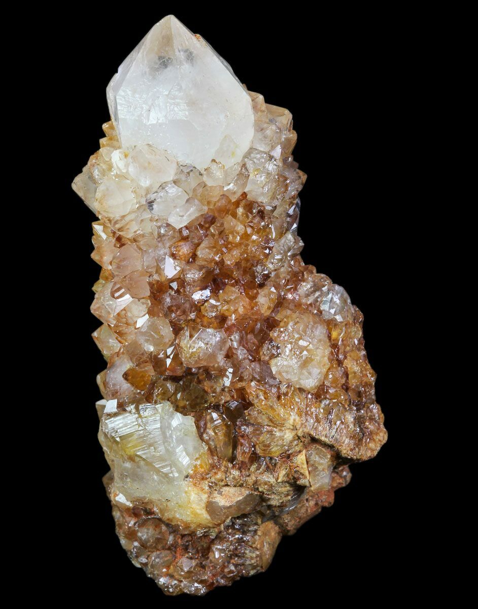2.7" Sunshine Cactus Quartz Crystal South Africa For Sale (80212