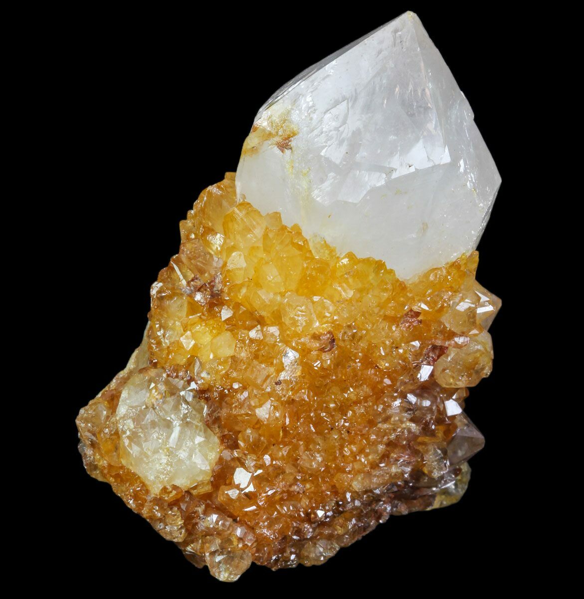 2" Sunshine Cactus Quartz Crystal South Africa For Sale (80220