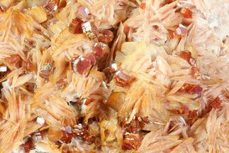 Ruby Red Vanadinite Crystals on Pink/Orange Barite - Morocco #80527