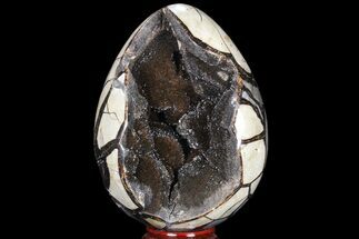 Septarian Dragon Egg Geode - Sparkly Crystal Pocket #81352