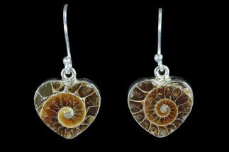 Heart Shaped Fossil Ammonite Earrings - Sterling Silver #81627