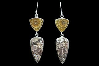 Fossil Turritella & Ammonite Earrings - Sterling Silver #82265