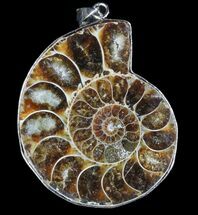 Fossil Ammonite Pendant - Million Years Old #83133