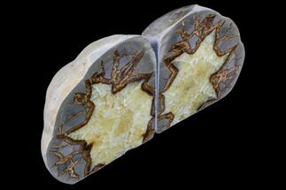 Tall, Polished Septarian Bookends - Utah #85057