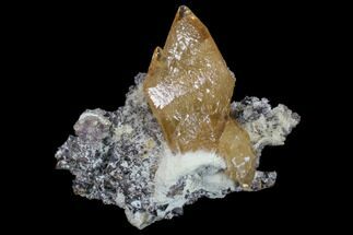 Calcite, Sphalerite, Fluorite & Celestine (Celestite) Association - Tennessee #89702