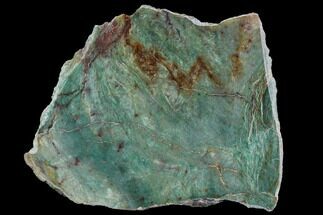 Polished Fuchsite Chert (Dragon Stone) End Cut - Australia #89985