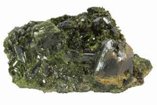 2" Epidote Crystal Cluster - Pakistan - Crystal #91981