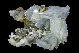 Blue Bladed Barite, Quartz and Pyrite Association - Morocco #91414