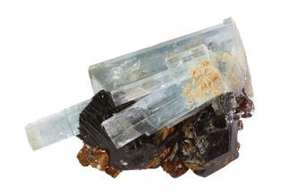 Aquamarine Crystal with Black Tourmaline & Siderite - Namibia #93696