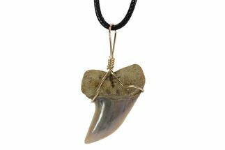 Fossil Mako Tooth Necklace - Bakersfield, California #95263
