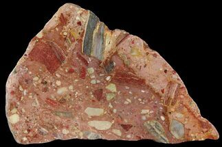 Polished Brecciated Chert Slab - Australia #95440