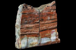 Tall, Colorful Petrified Wood Bookends - Arizona #95976