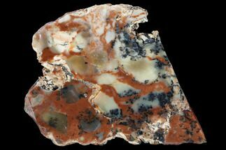 Polished Wanong Dendritic Opal Slab - Australia #96275