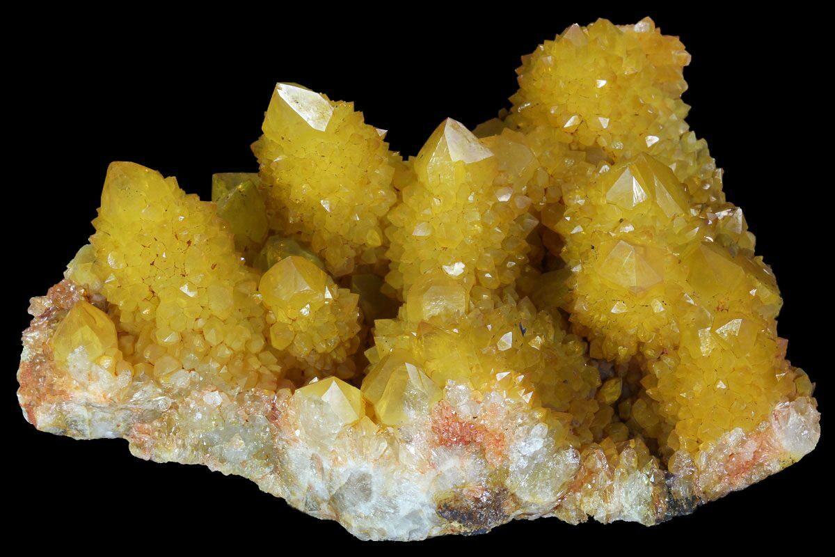 4.3" Sunshine Cactus Quartz Crystal South Africa For Sale (96270