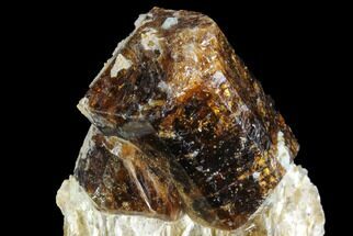 Brown Dravite Tourmaline Crystal Cluster in Mica - Australia #96309