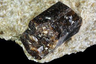 Brown Dravite Tourmaline Crystal Cluster in Mica - Australia - Crystal #96311
