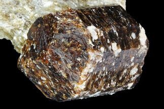 Long, Brown Dravite Tourmaline Crystal in Mica - Australia #96312