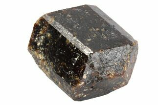 Large, Brown Dravite Tourmaline Crystal - Western Australia #96313
