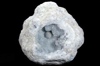 Blue Celestine (Celestite) Crystal Geode ( lbs) #74680