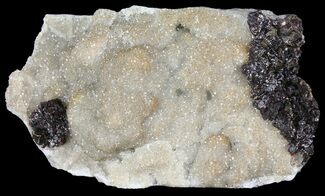 4.1" Sphalerite "Flowers" & Druzy Quartz - Missouri - Crystal #96389