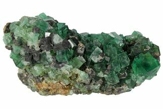 Fluorite and Galena Crystal Association - Rogerley Mine #97885