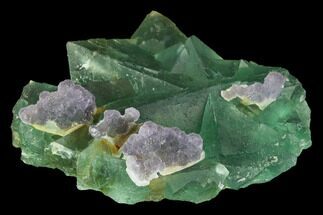 Green & Purple Fluorite Crystal Cluster - China #98064